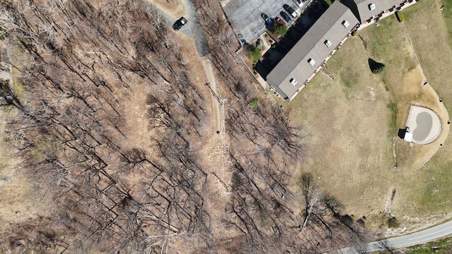 1.1ACRE Blockaders Den Rd, Columbus, NC 28722