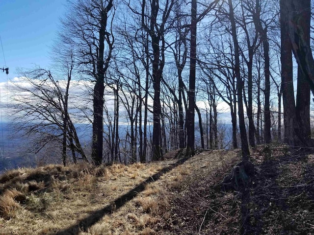 1.1ACRE Blockaders Den Rd, Columbus, NC 28722