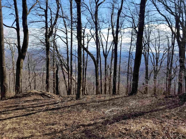 1.1ACRE Blockaders Den Rd, Columbus, NC 28722