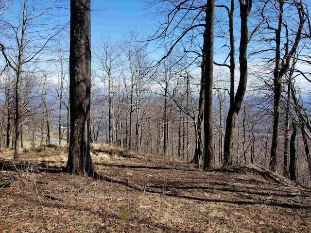 1.1ACRE Blockaders Den Rd, Columbus, NC 28722