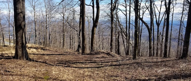 1.1ACRE Blockaders Den Rd, Columbus, NC 28722