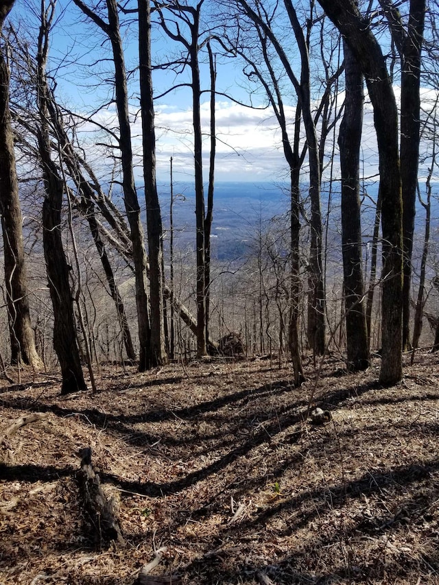 1.1ACRE Blockaders Den Rd, Columbus, NC 28722
