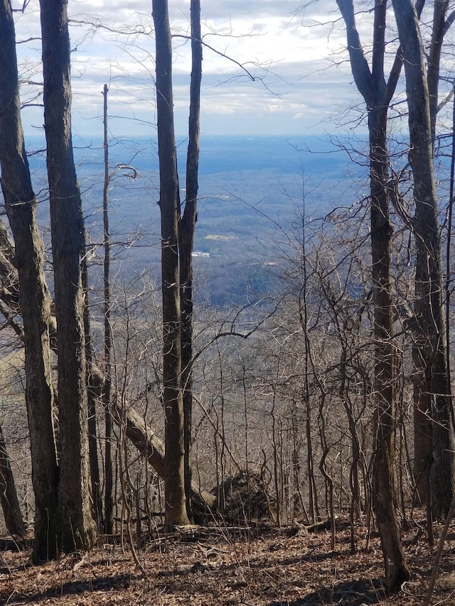 1.1ACRE Blockaders Den Rd, Columbus, NC 28722