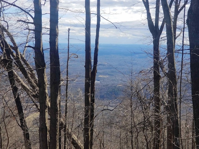 1.1ACRE Blockaders Den Rd, Columbus, NC 28722