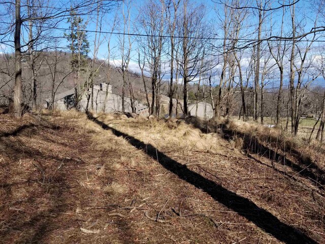 1.1ACRE Blockaders Den Rd, Columbus, NC 28722