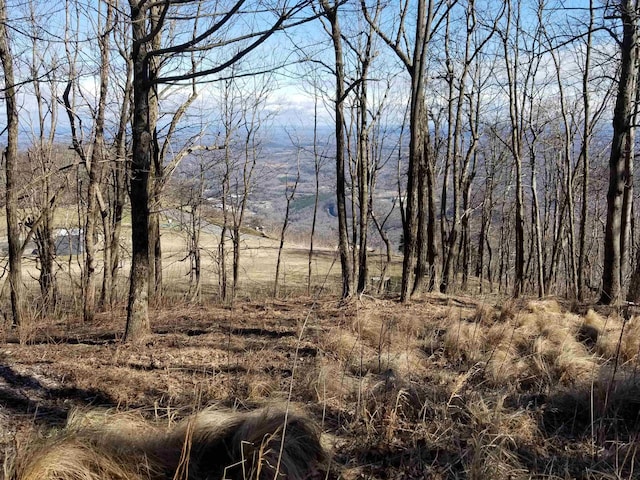 1.1ACRE Blockaders Den Rd, Columbus, NC 28722