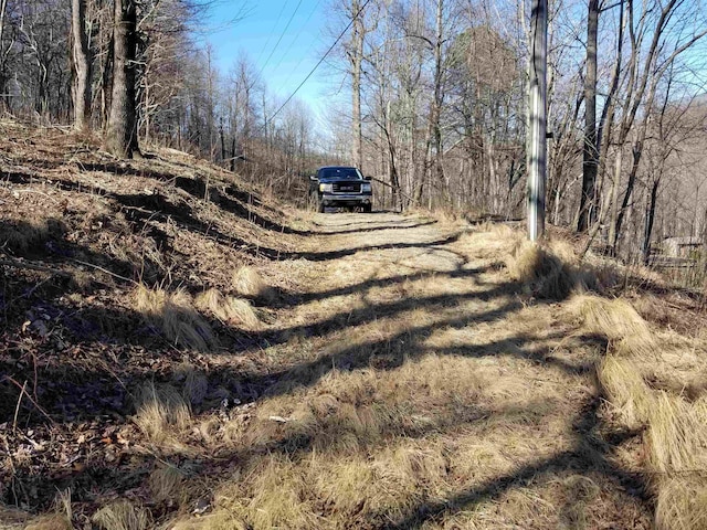 1.1ACRE Blockaders Den Rd, Columbus, NC 28722