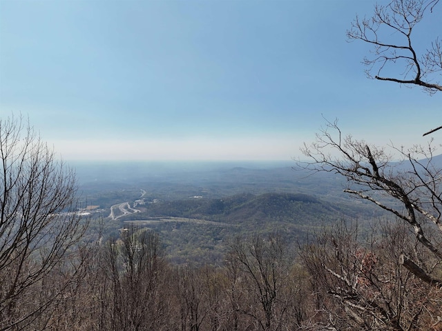1.1ACRE Blockaders Den Rd, Columbus, NC 28722