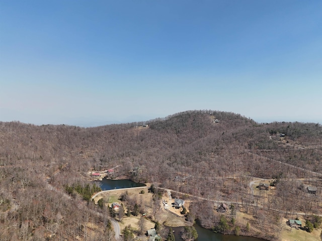 1.1ACRE Blockaders Den Rd, Columbus, NC 28722