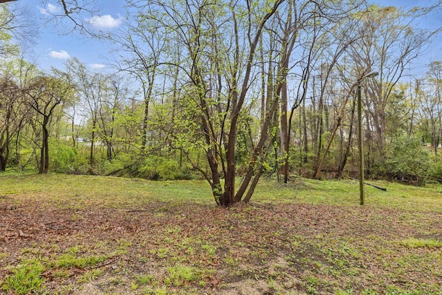 207 Streamside Dr, Chesnee, SC 29323 - view of yard featuring a forest view