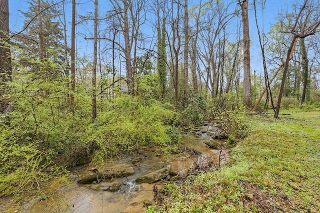 207 Streamside Dr, Chesnee, SC 29323 - view of local wilderness