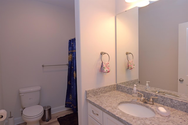 2054 Lachaise Ln, Moore, SC 29369 - bathroom featuring vanity, wood finished floors, and curtained shower