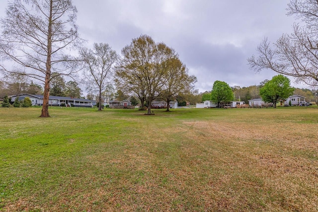 423 Coggins Shore Rd, Inman, SC 29349 - view of grassy yard