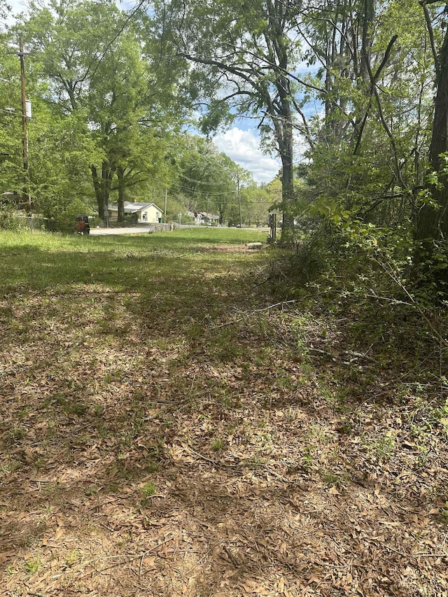 101 W Bluford St, Clinton, SC 29325 - photo 4