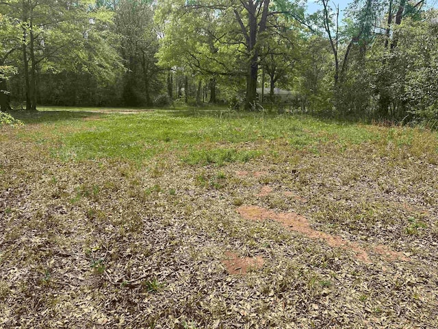 101 W Bluford St, Clinton, SC 29325 - photo 5