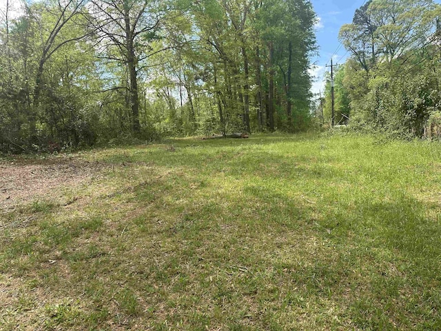101 W Bluford St, Clinton, SC 29325 - photo 6
