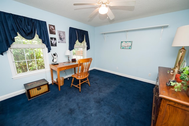 316 Whitfield Ln, Boiling Springs, SC 29316 - home office with dark carpet and ceiling fan