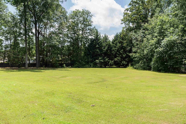 316 Whitfield Ln, Boiling Springs, SC 29316 - view of green lawn