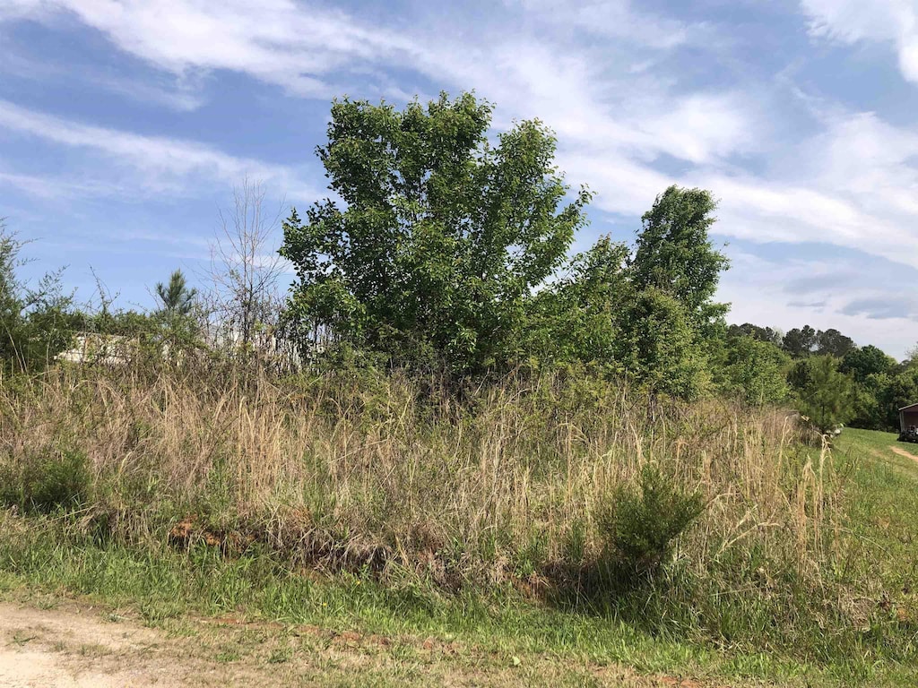 0 Jamyn Ct, Cowpens, SC 29330 - photo 2