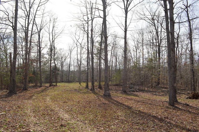 Cowpens Pacolet Rd, Spartanburg, SC 29307 - photo 1