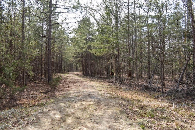 Cowpens Pacolet Rd, Spartanburg, SC 29307 - photo 2