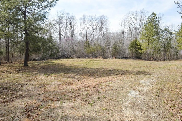 Cowpens Pacolet Rd, Spartanburg, SC 29307 - photo 3
