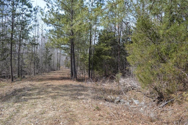 Cowpens Pacolet Rd, Spartanburg, SC 29307 - photo 4