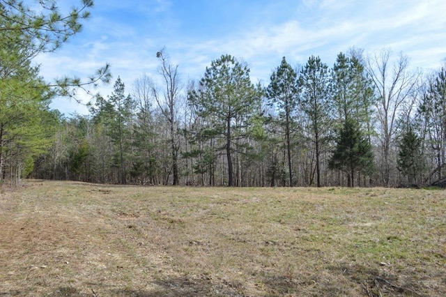 Cowpens Pacolet Rd, Spartanburg, SC 29307 - photo 5