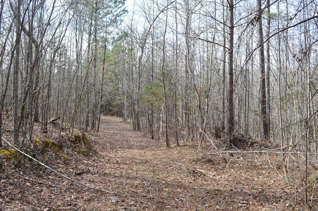 Cowpens Pacolet Rd, Spartanburg, SC 29307 - photo 6