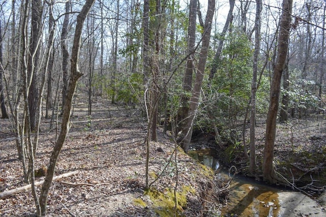 Cowpens Pacolet Rd, Spartanburg, SC 29307 - photo 15