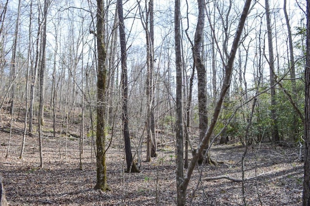 Cowpens Pacolet Rd, Spartanburg, SC 29307 - photo 16