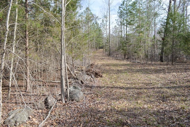 Cowpens Pacolet Rd, Spartanburg, SC 29307 - photo 19