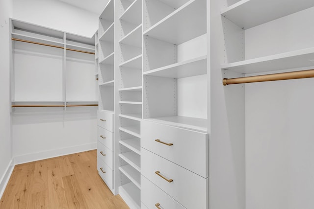 164 Triangle Pine Rd, Fountain Inn, SC 29644 - walk in closet with light wood-style flooring