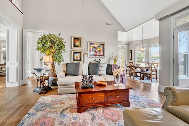 10 Torrey Pines Ct, Spartanburg, SC 29306 - living area with high vaulted ceiling and wood finished floors