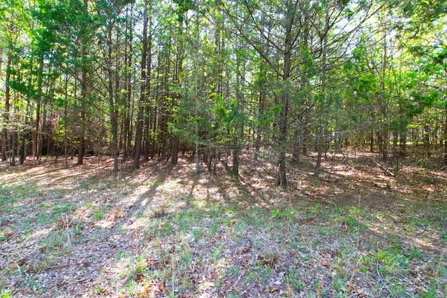 0 Emma Cudd Rd, Spartanburg, SC 29346 - photo 2