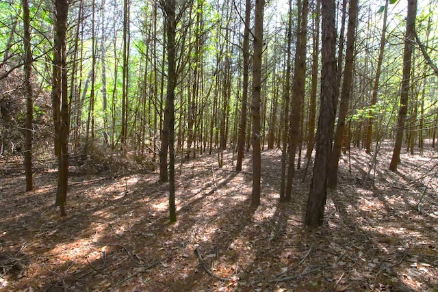 0 Emma Cudd Rd, Spartanburg, SC 29346 - photo 3