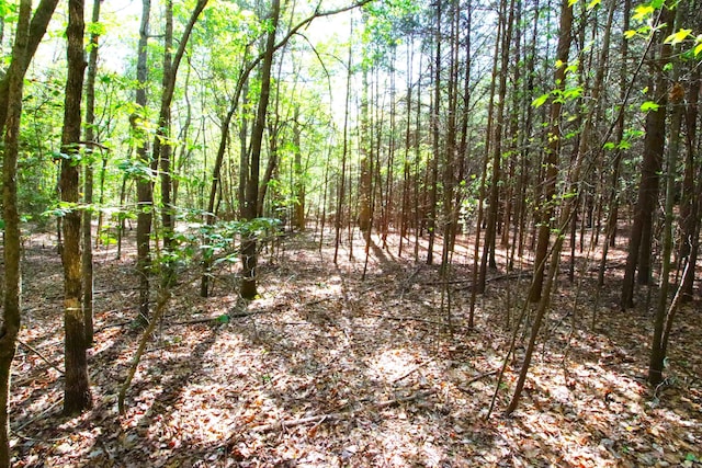 0 Emma Cudd Rd, Spartanburg, SC 29346 - photo 4