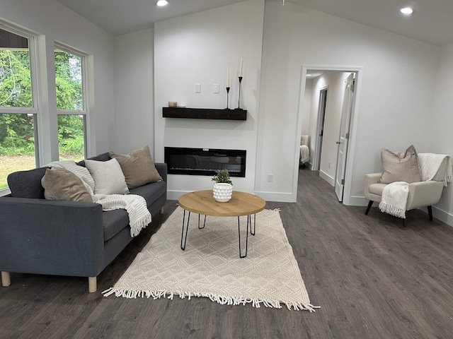 136 Dendy Dr, Wellford, SC 29385 - living room featuring wood finished floors, recessed lighting, a glass covered fireplace, and vaulted ceiling