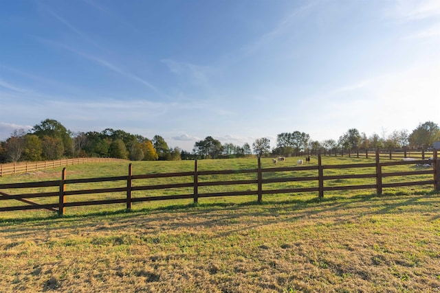 247 Reynolds Rd, Inman, SC 29349 - photo 43
