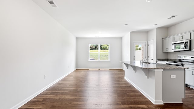 108 Sunriff Ct, Greer, SC 29651 - kitchen featuring stainless steel appliances, stone countertops, a breakfast bar, a center island with sink, and dark wood-style floors