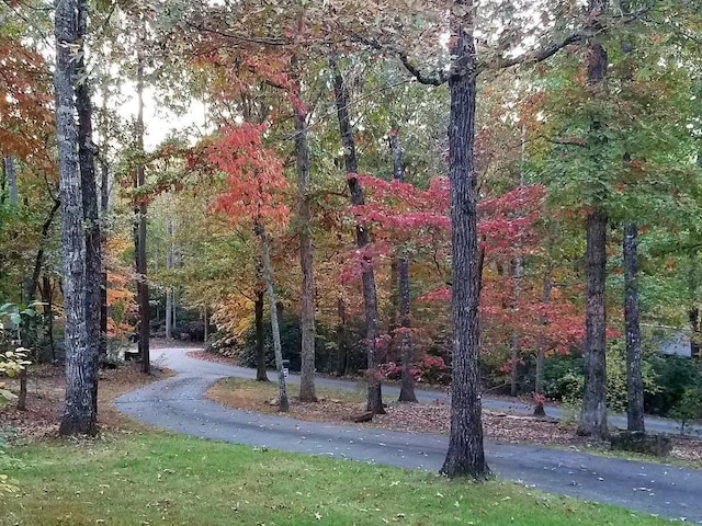 116 Dorothy Ln, Pickens, SC 29671 - surrounding community with a view of trees