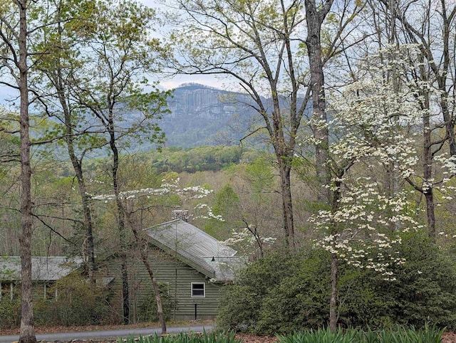 116 Dorothy Ln, Pickens, SC 29671 - mountain view featuring a heavily wooded area