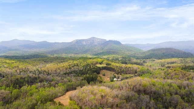 116 Dorothy Ln, Pickens, SC 29671 - view of mountain backdrop featuring a forest