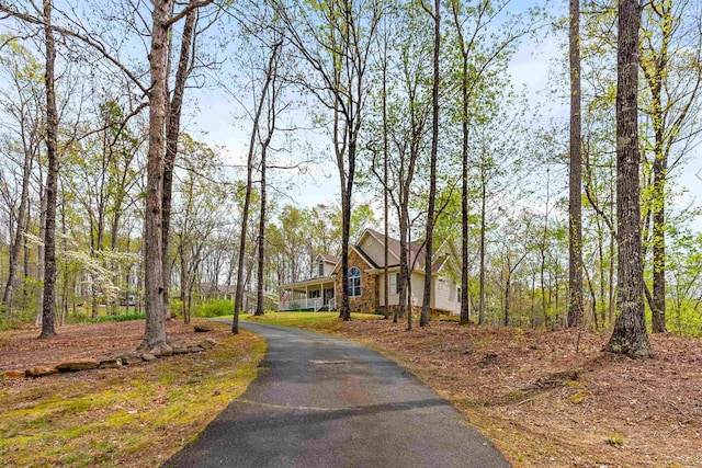 116 Dorothy Ln, Pickens, SC 29671 - view of asphalt driveway