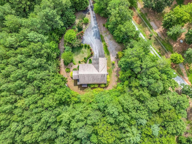 940 Hugh Champion Rd, Tryon, NC 28782 - photo 39