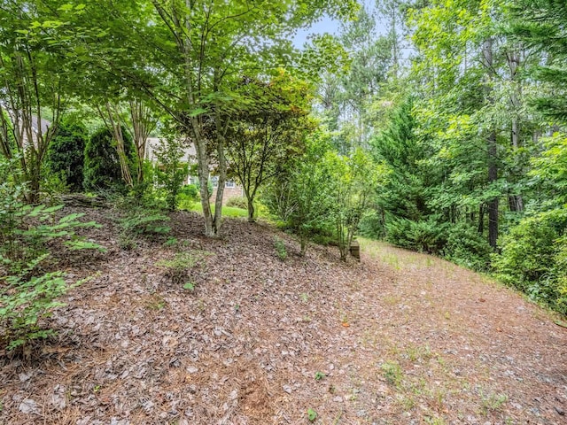 940 Hugh Champion Rd, Tryon, NC 28782 - photo 11