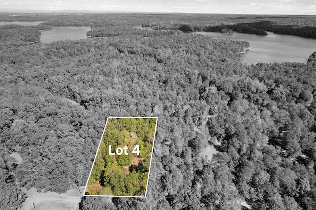 04 Camp Creek Rd, Townville, SC 29689 - photo 2