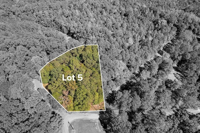 04 Camp Creek Rd, Townville, SC 29689 - photo 3