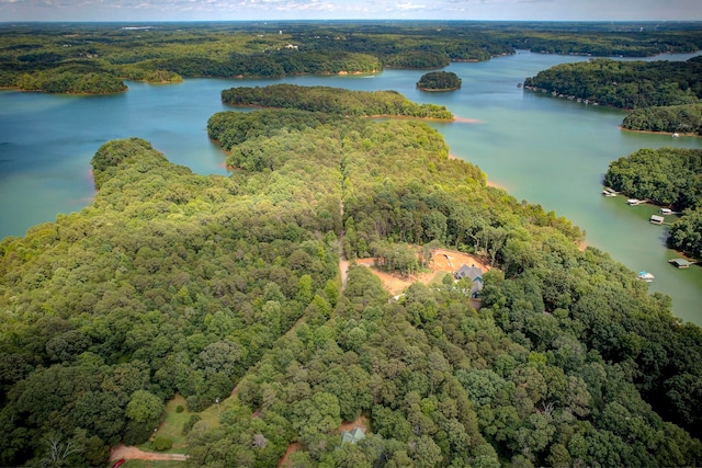 04 Camp Creek Rd, Townville, SC 29689 - photo 4