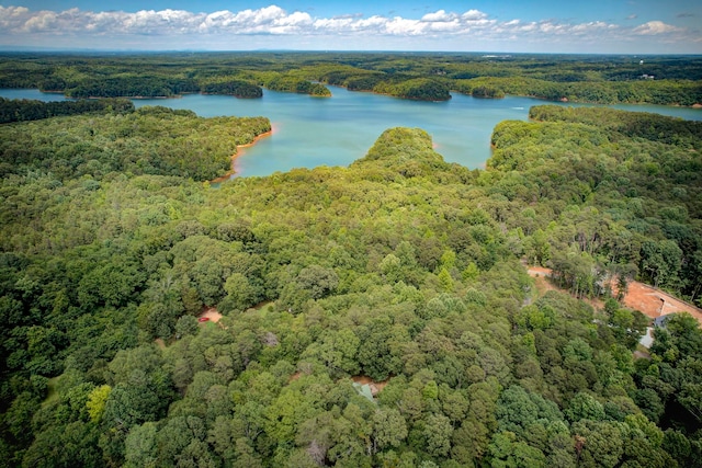 04 Camp Creek Rd, Townville, SC 29689 - photo 1